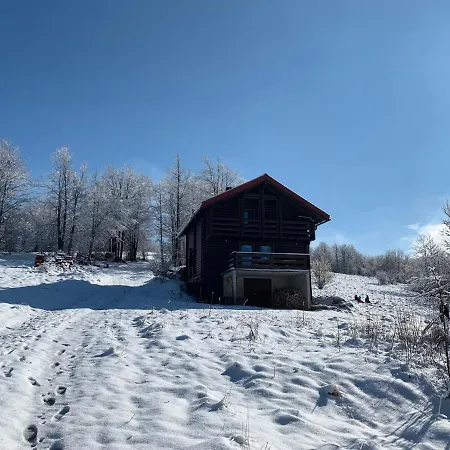 度假居 Wooden Paradise *
